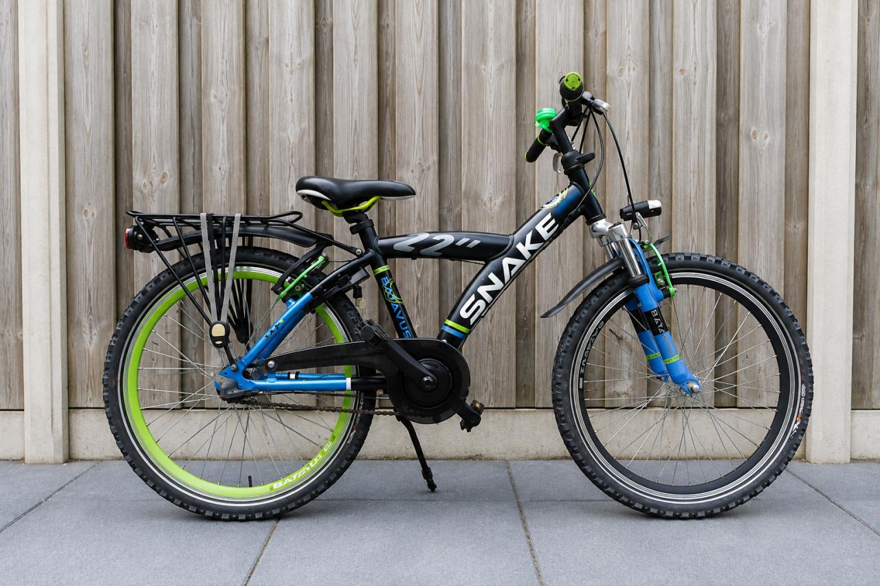 🚲 Batavus Snake Jongensfiets – 22 inch – Stoer, Compleet & Rijklaar