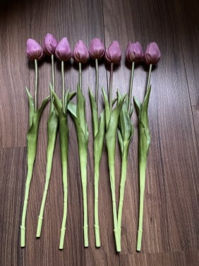 Neptulpen paars open
