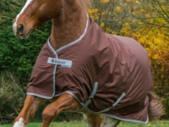 Bucas Freedom extra deken