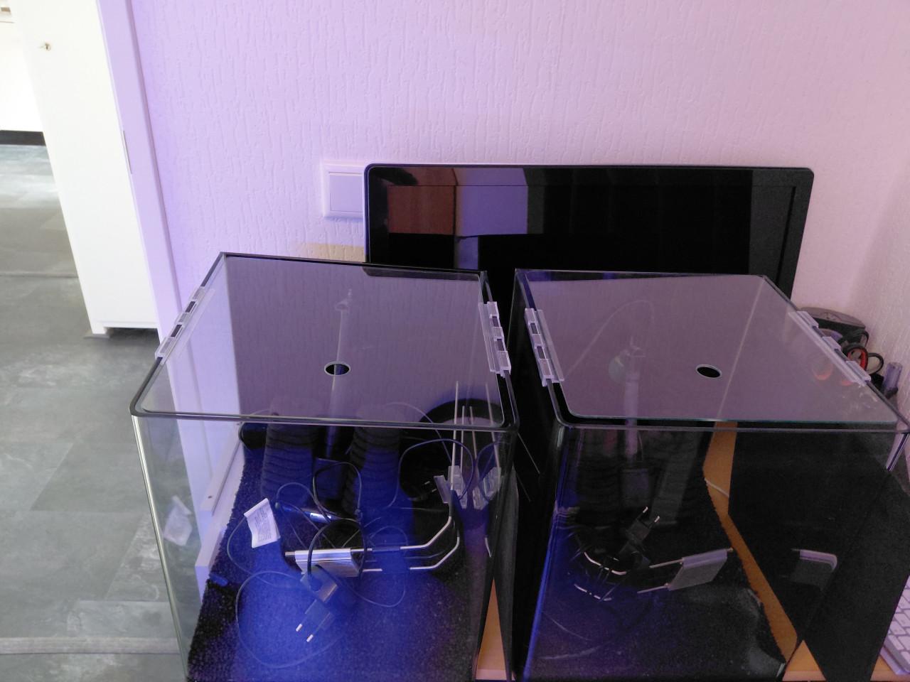 2 x dennerle nano cube 30 compleet