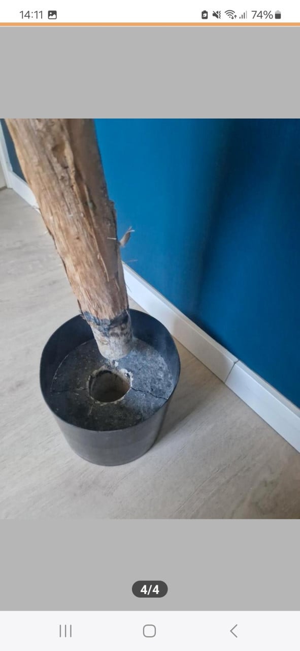 Grote kunstplant