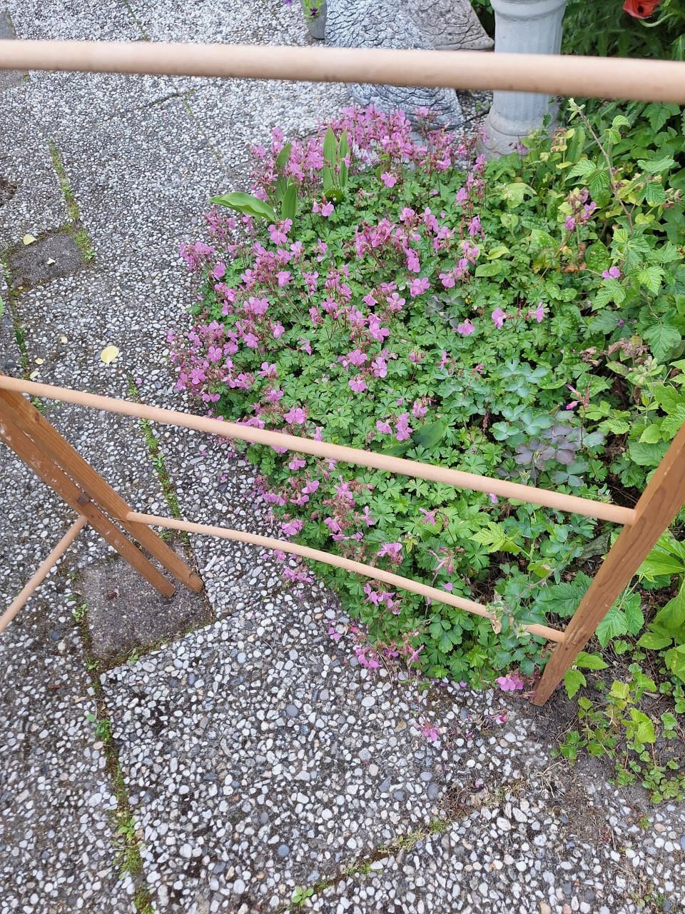Brocante rek