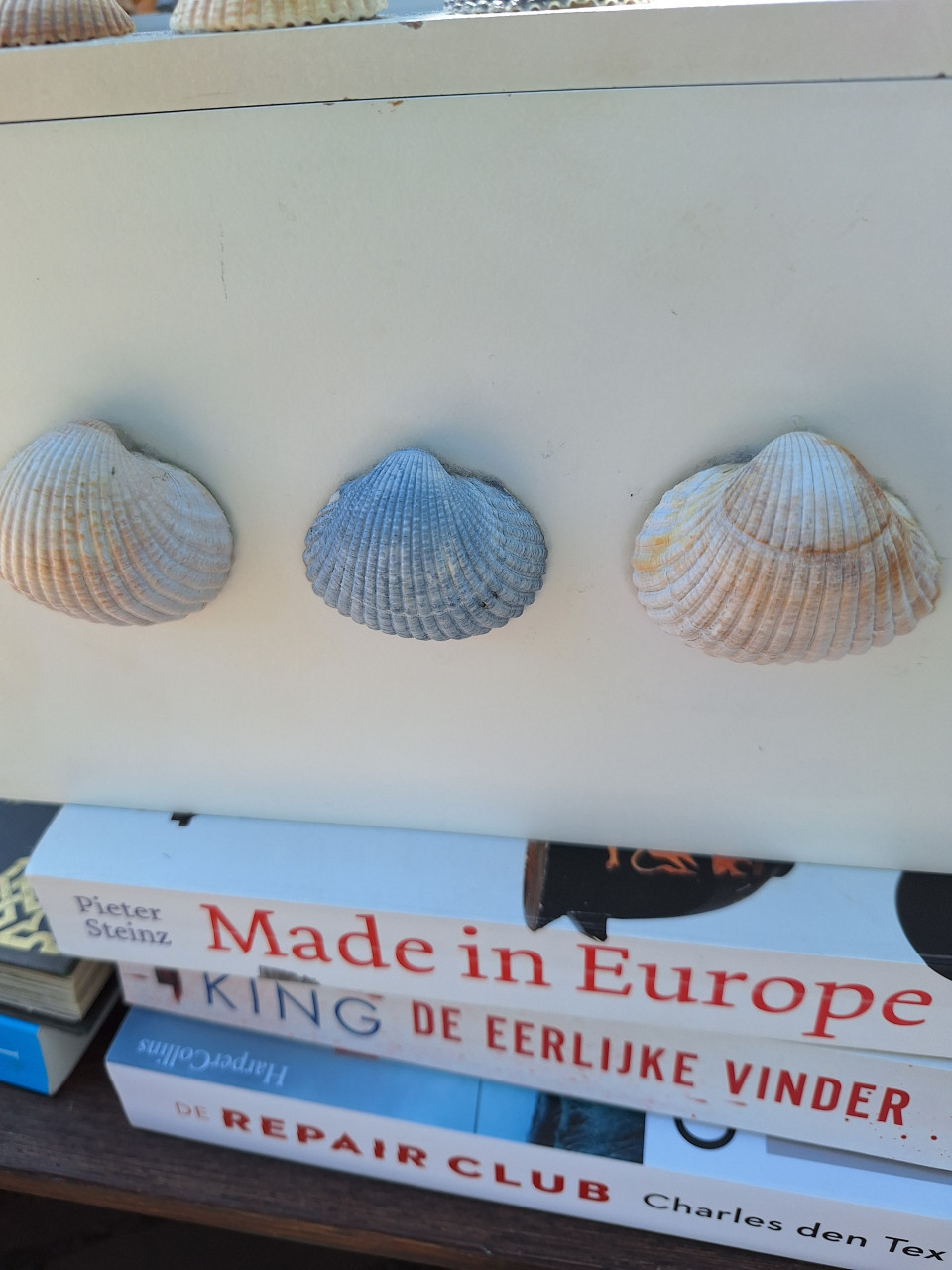 Decoratieve opbergbox