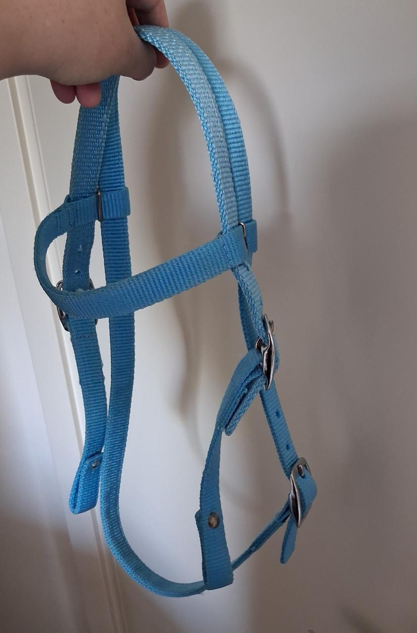 Pony hoofdstel met teugels Nylon western
