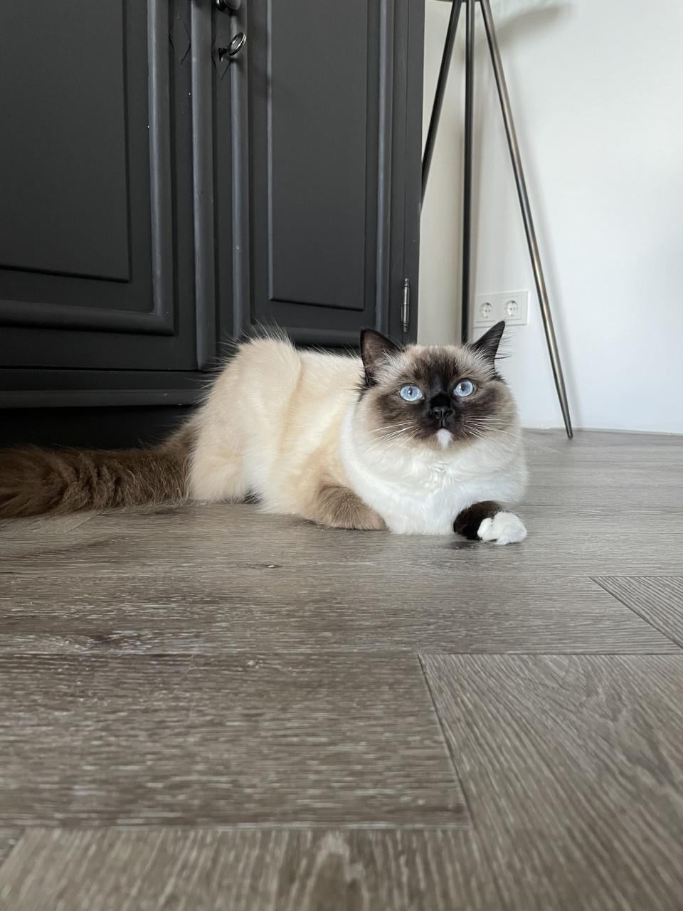 Ted en Nova zijn op zoek naar personeel