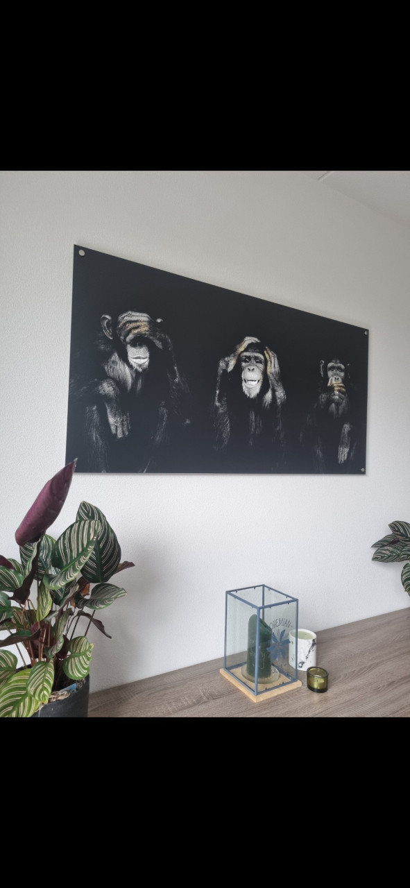 Decoratie schilderij zwart met goud