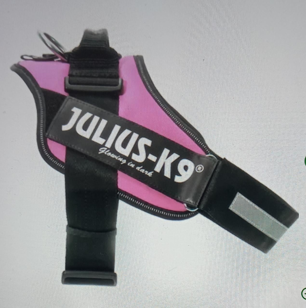 NIEUW tuigje julius-K9