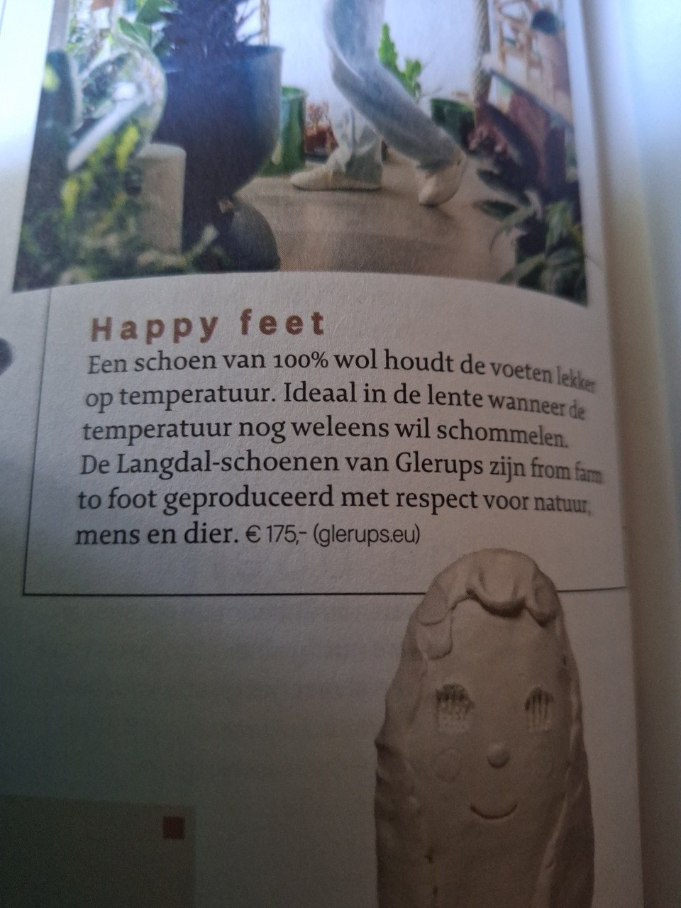 12x maandblad Roots 2024-2023