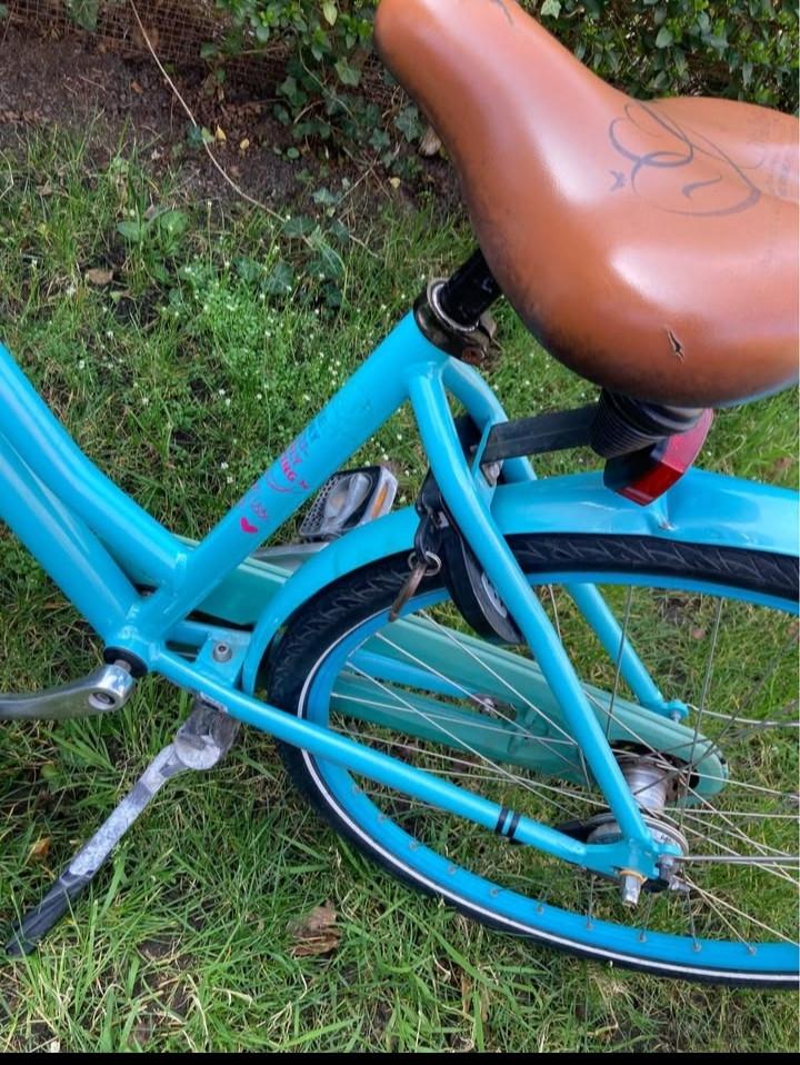 Opknapper Gazelle Miss Grace