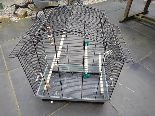 Vogelkooi