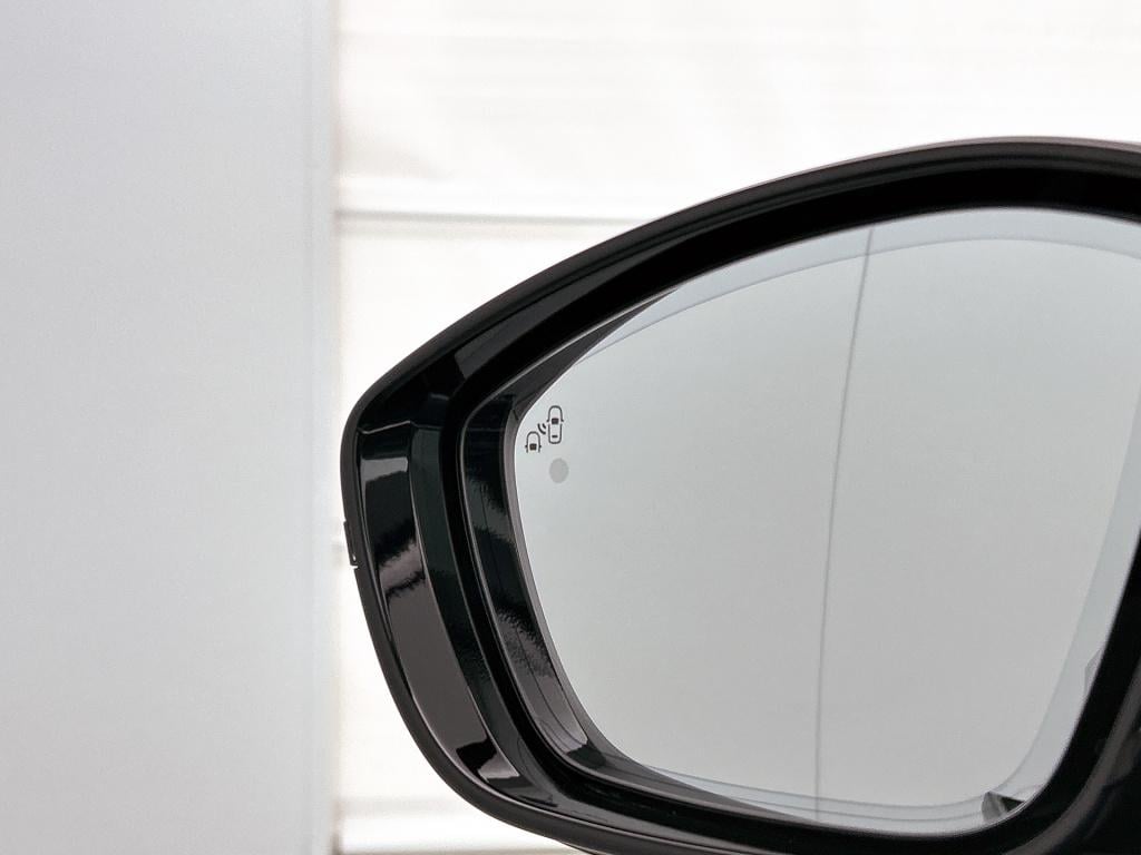 Ds Ds 9 e-tense rivoli+ 250 | rijklaar | lounge achterbank |