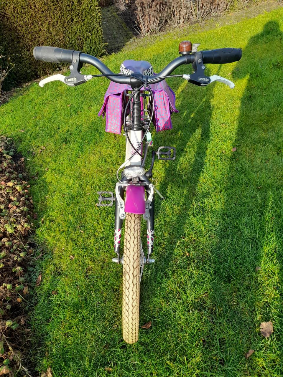 Z.g.a.n. Loekie meisjesfiets met bijpassende fietstassen (20 inch)