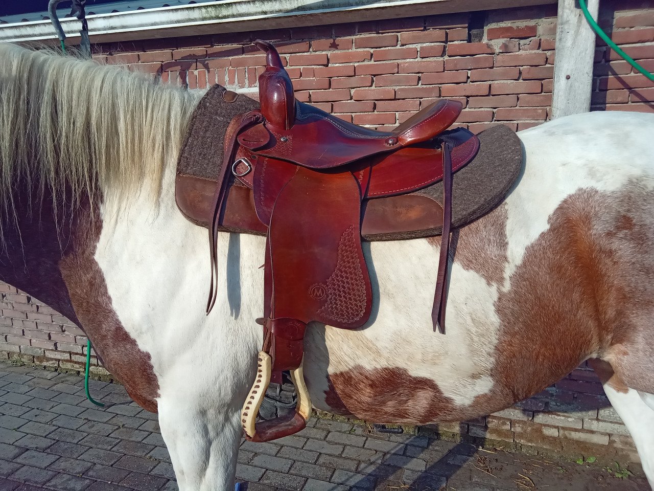 Westernzadel