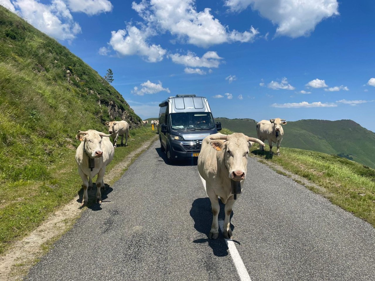 Boek snel onze Bus Camper !  Nog 3 weken vrij in augustus. Stahoogte 2,13 m