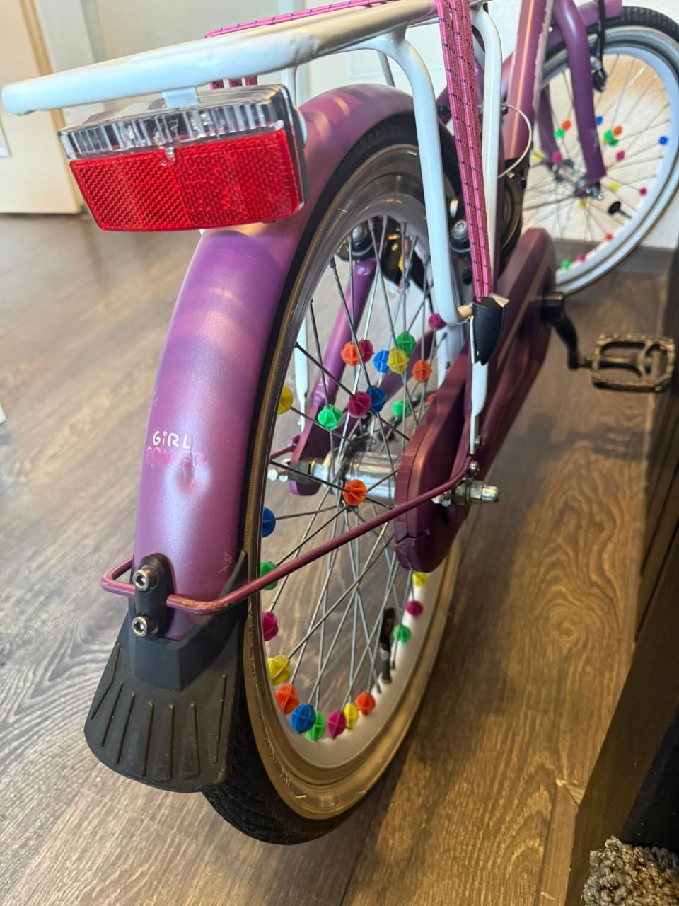 Alpina Girl Power 20 inch