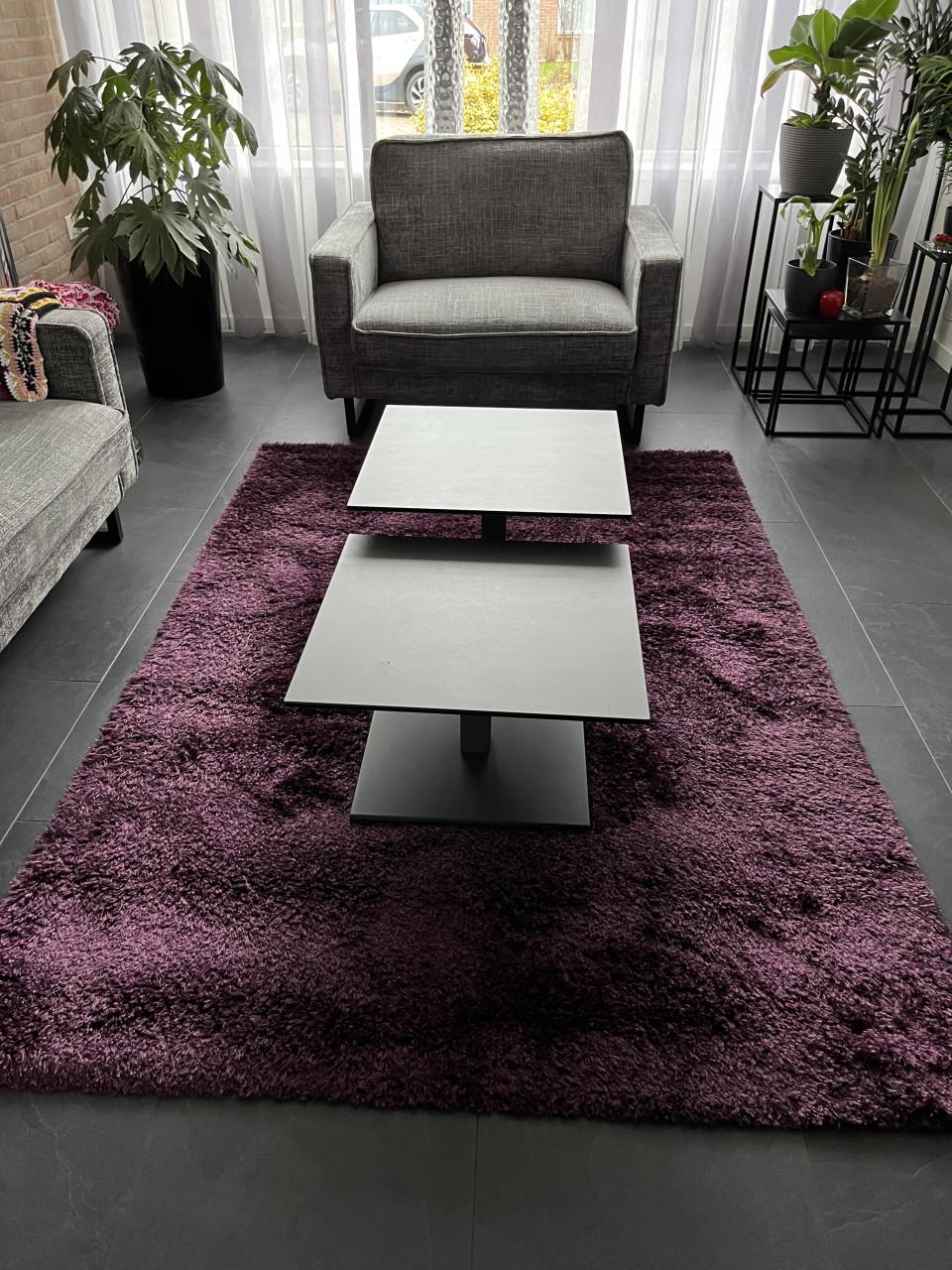 Vloerkleed 160x230, paars