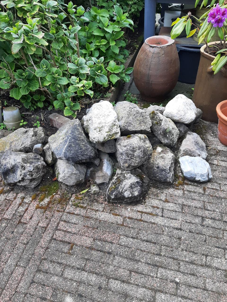 VIJVERSTENEN --GRATIS