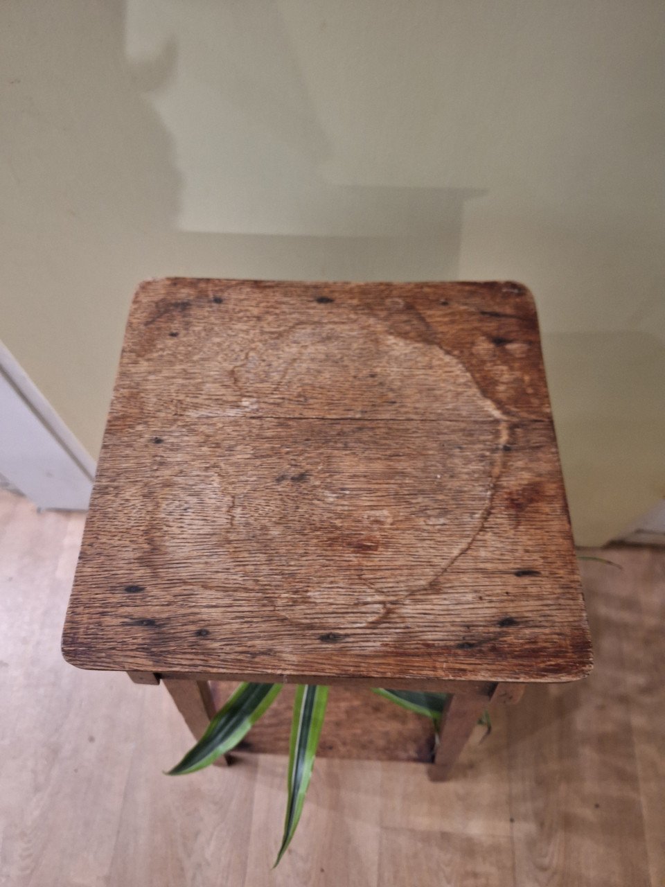 Plantetafeltje