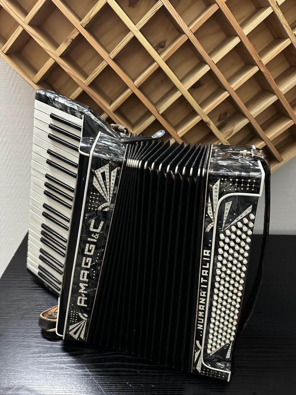 Italiaanse 120-bassen accordeon – Numana Italia + KOFFER