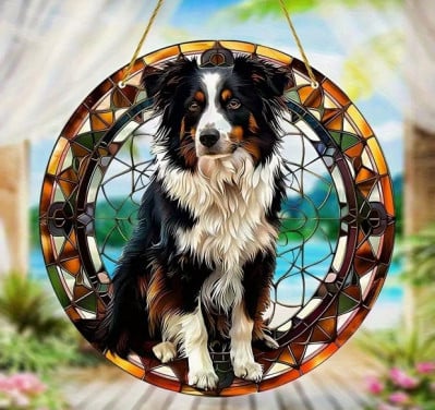 Raamhanger Border collie