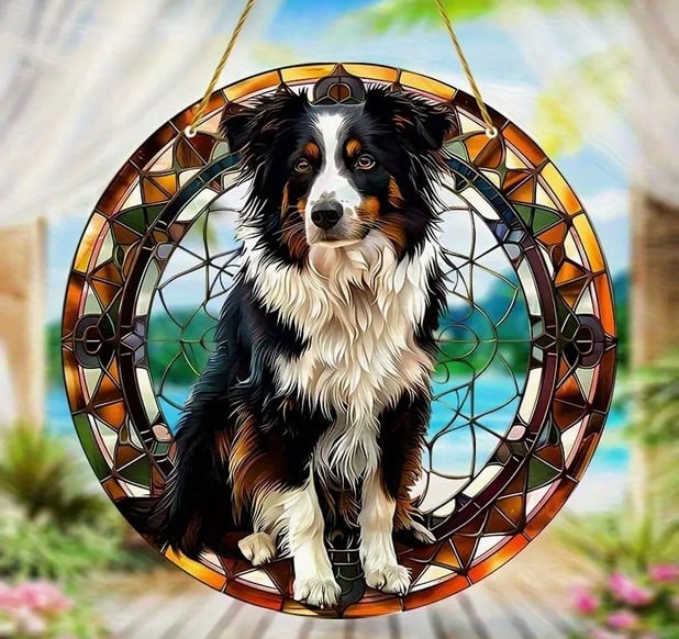 Raamhanger Border collie