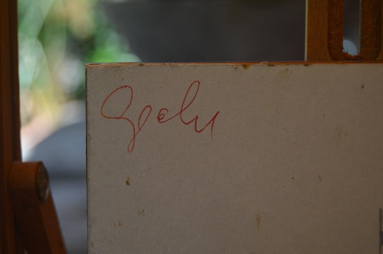 Klein etsje uit 1995 boerenwoning geen idee waar