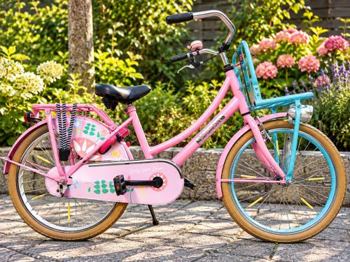 🚲 Popal Daily Dutch Bloom 22 Inch – Transportfiets
