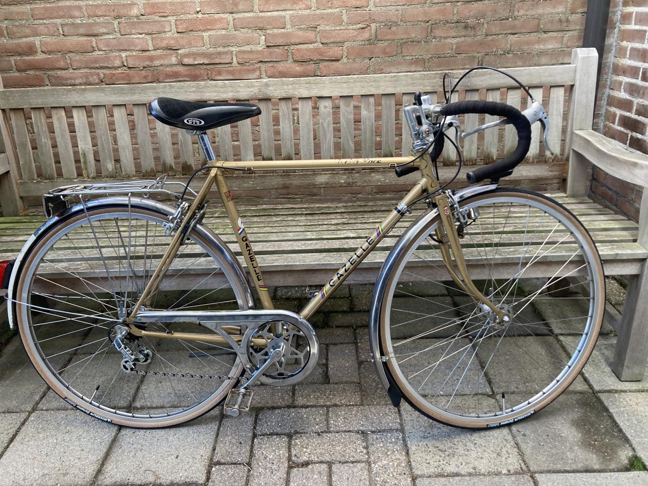 Vintage Gazelle Junior Race