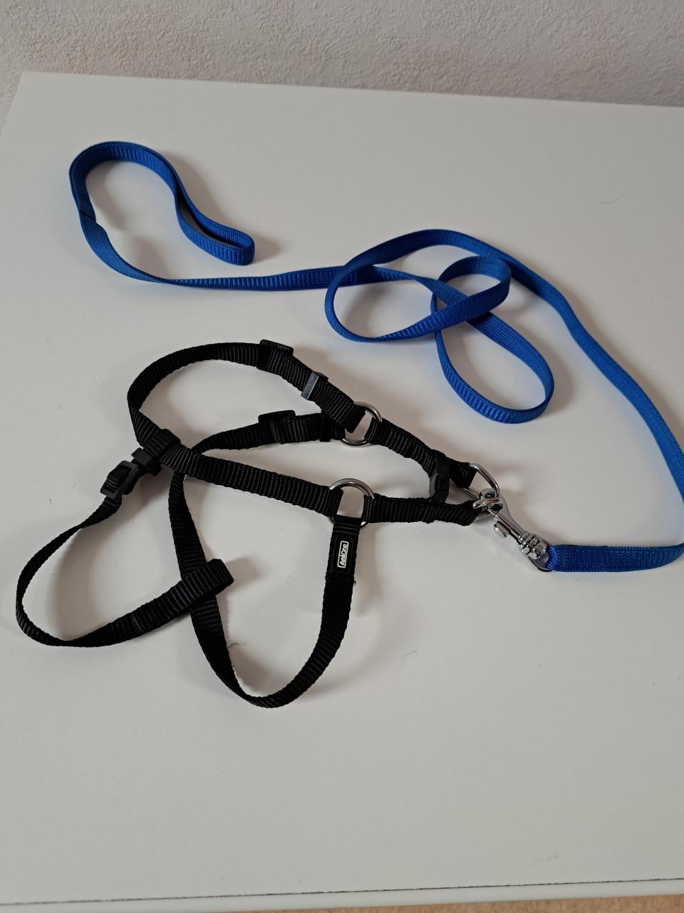 Z.G.A.N. HONDEN TUIGJE MET LOOPLIJN MT XS