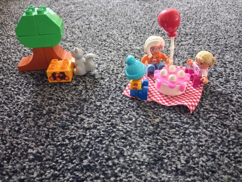 Duplo verjaardags picknick