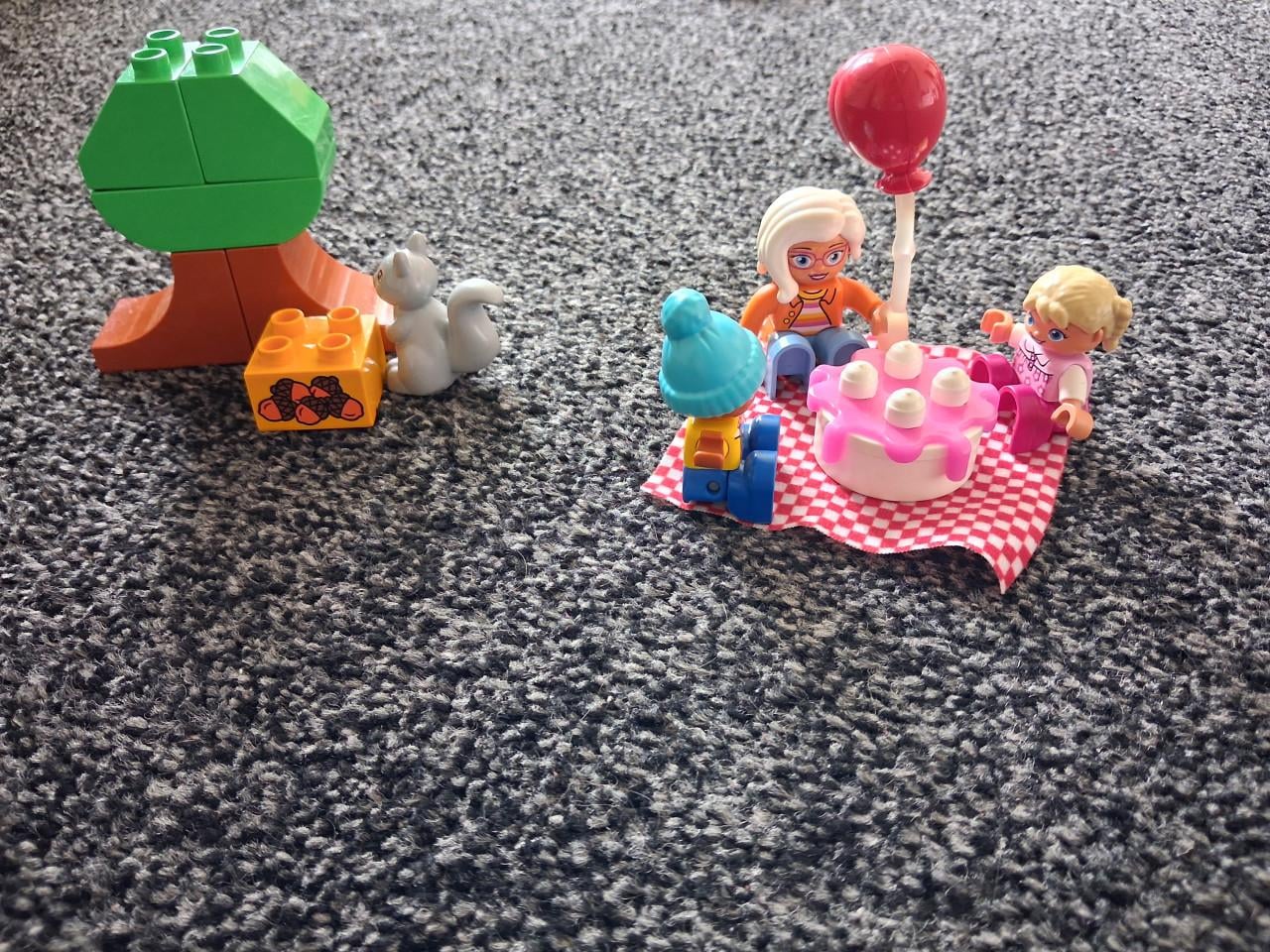 Duplo verjaardags picknick