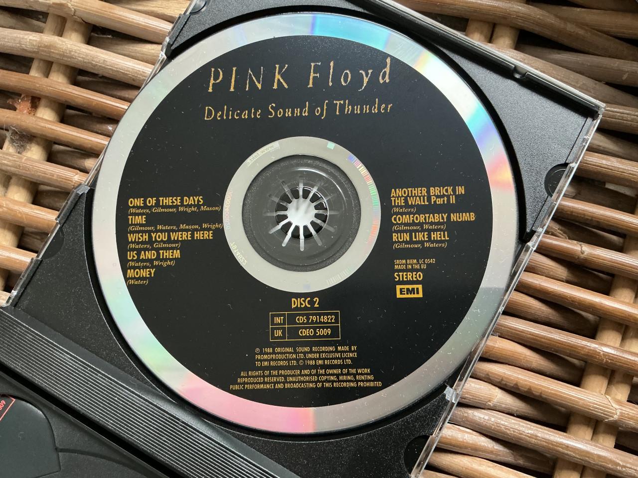 Pink Floyd Delicate Sound of Thunder