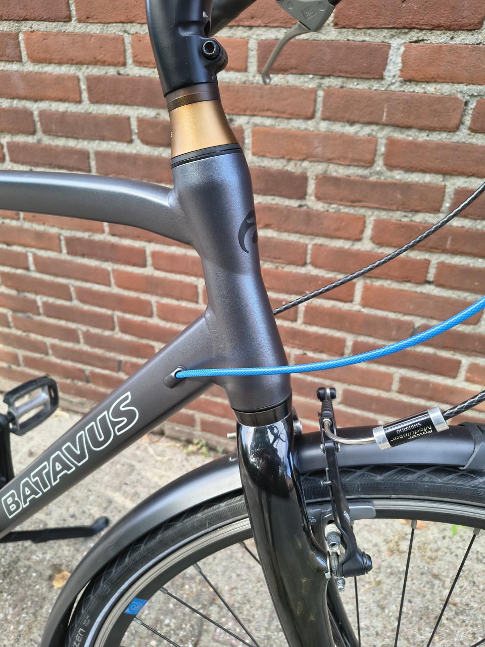 Hele mooie Batavus Dinsdag Light.