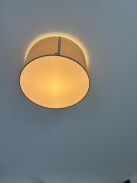 Plafond lamp