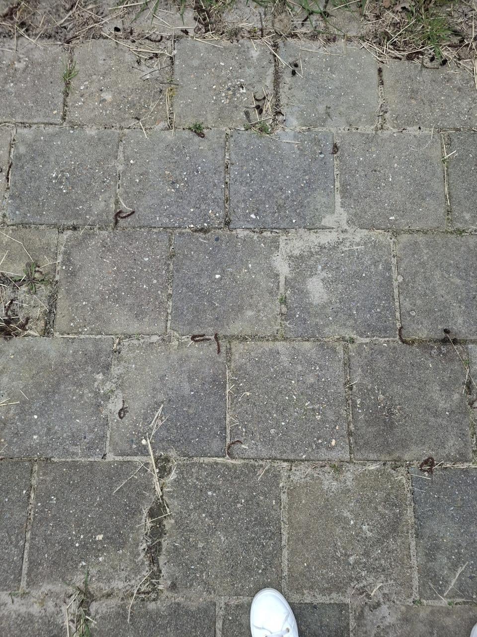 Stenen gratis af te halen in Kloetinge