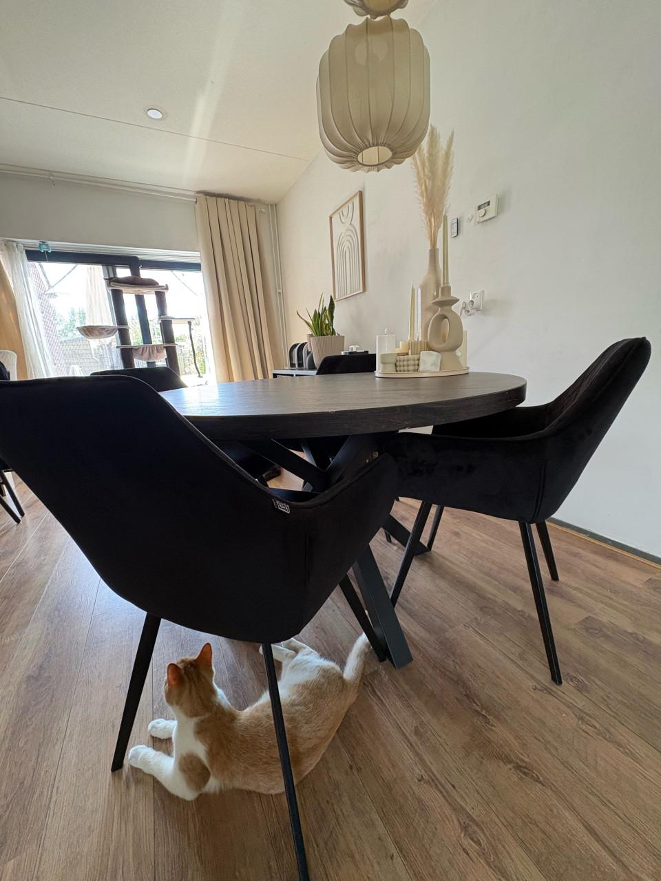 Set van 4 zwarte velours eetkamerstoelen