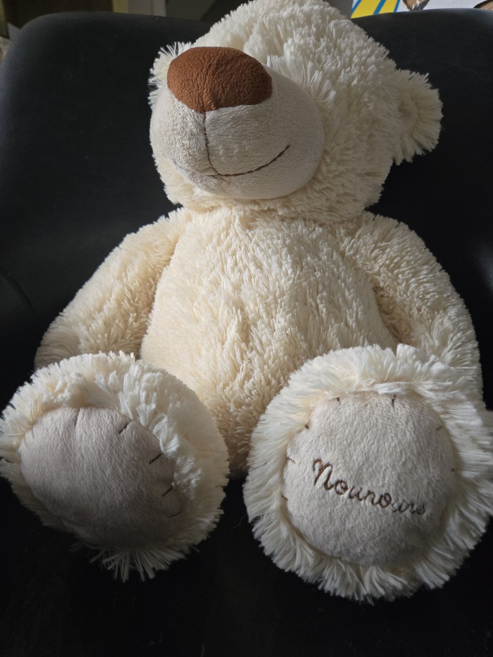 Beer Nounours 50 cm ZGAN