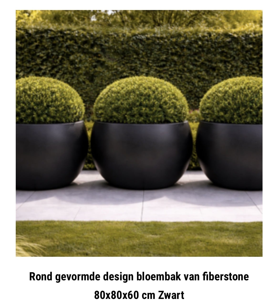 Ronde plantenbakken juni sale