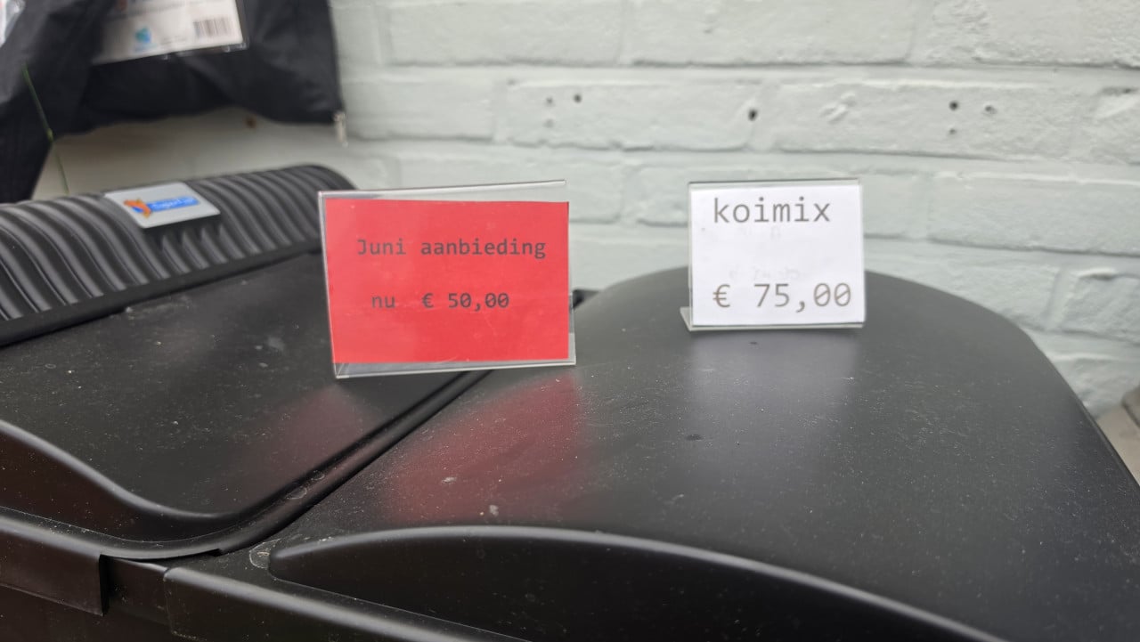 Mooi koi actie