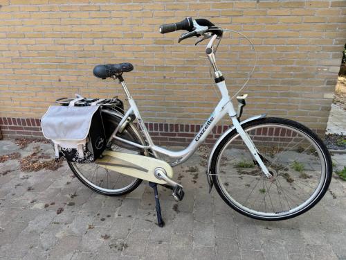 Damesfiets Gazelle Bloom moederfiets