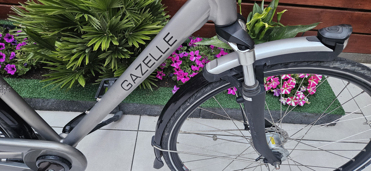 Gazelle  Paris  C7+ Herenfiets