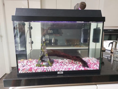 Juwel Monolux 60 aquarium