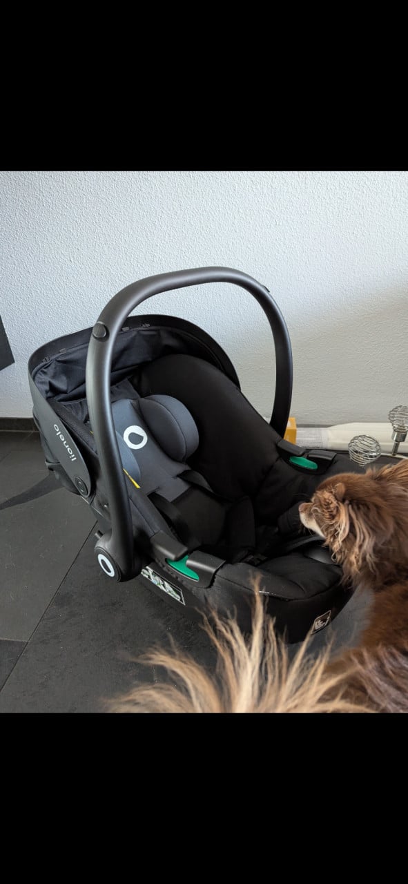 Lionelo autostoeltje