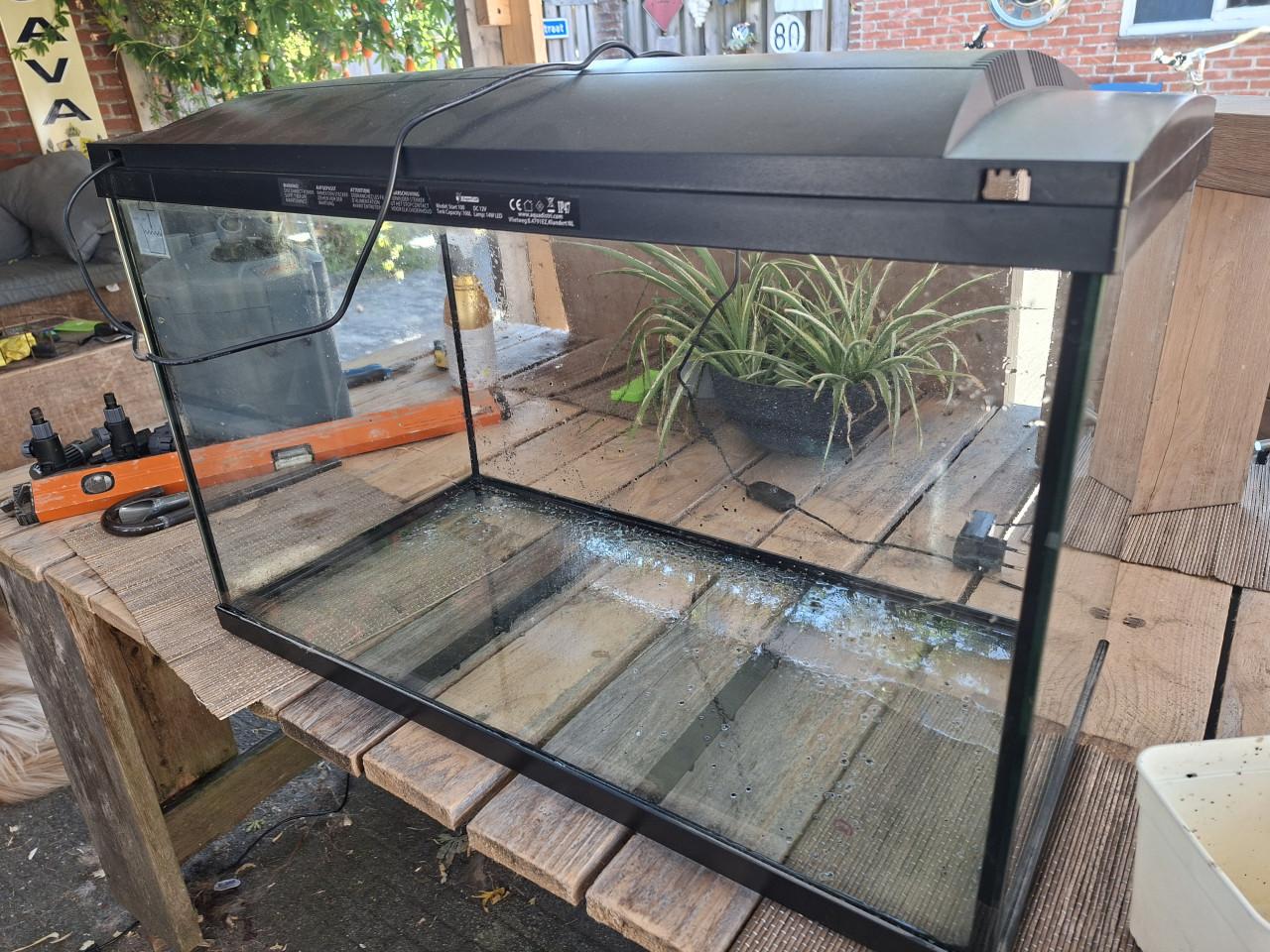 Aquarium superfish 100