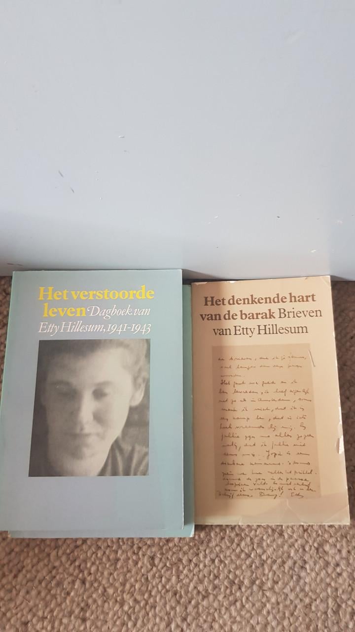 Partij Nederlandse romans
