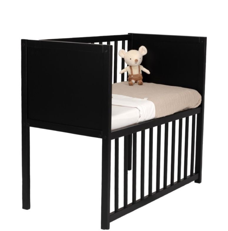 Co- Sleeper