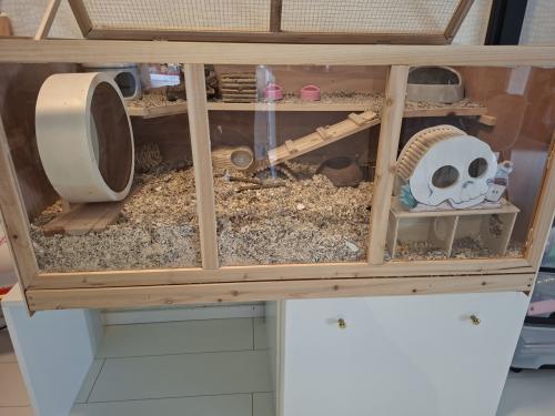 Hamster kooi