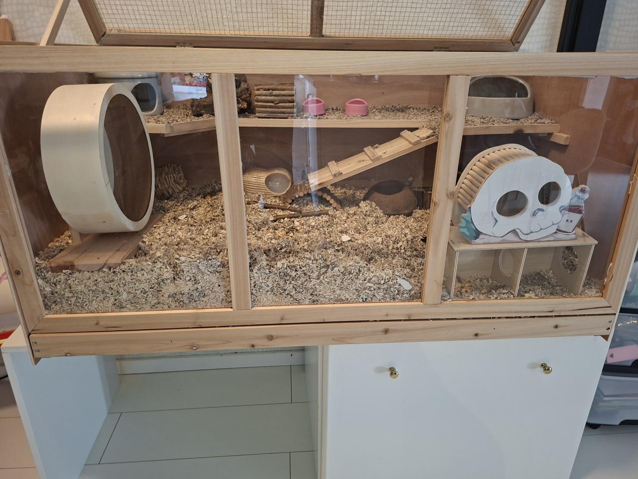 Hamster kooi