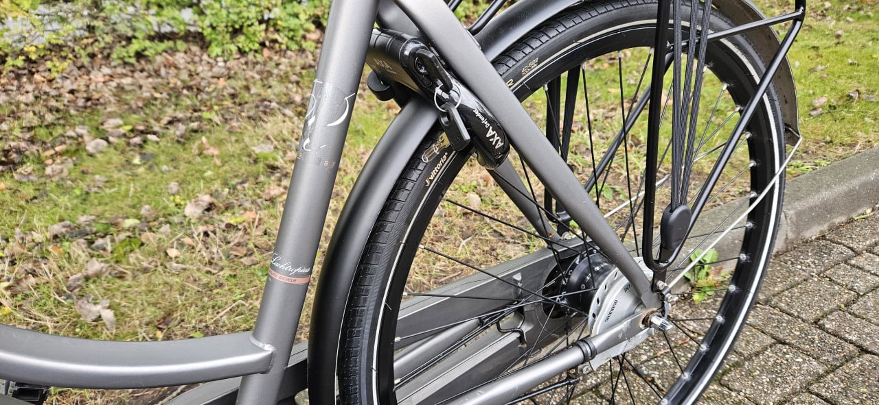 Cortina Roots Damesfiets 55 cm