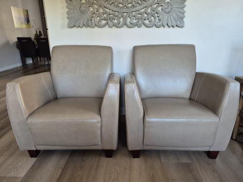 Fauteuils taupe - echt leer